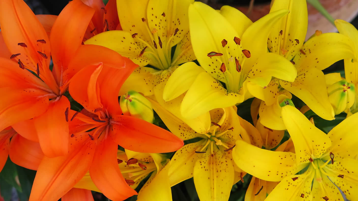 Giving Milton Keynes Community Foundation Funding Fairness